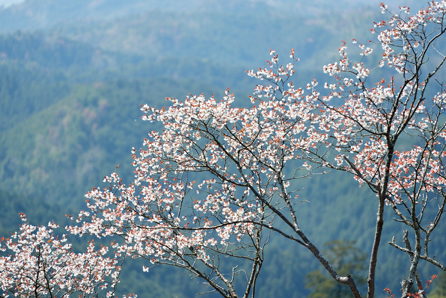f:id:banriman:20140416140748j:image