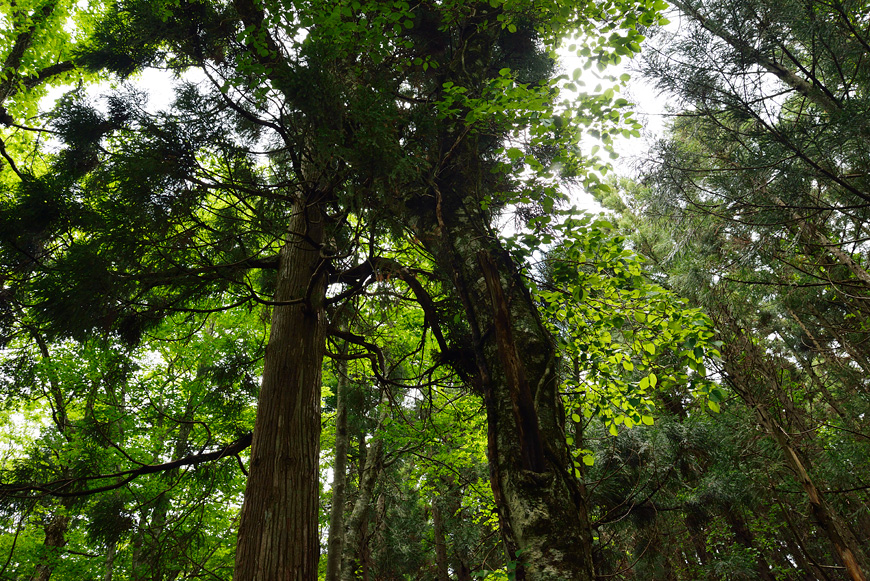 f:id:banriman:20140609152011j:image