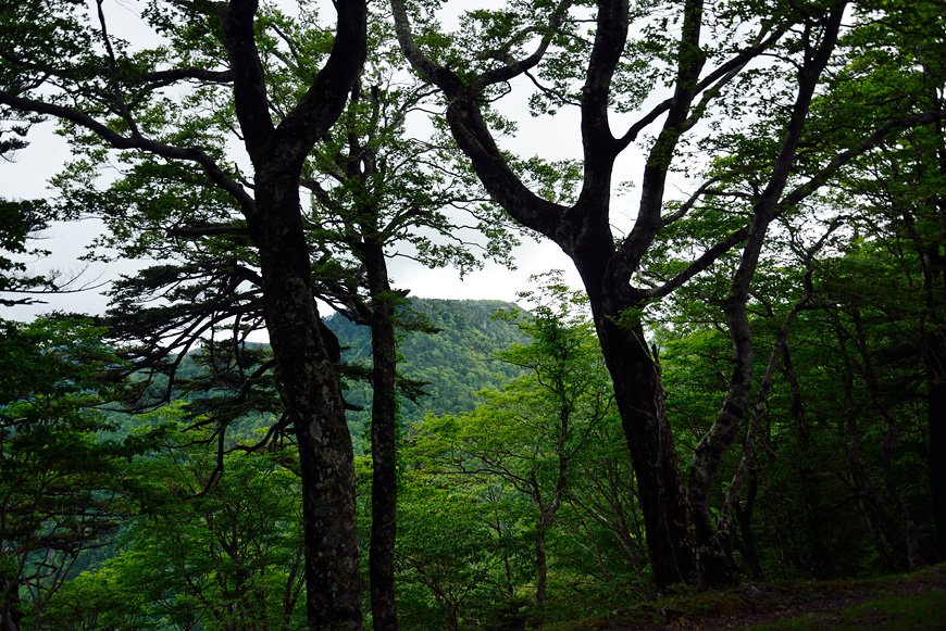 f:id:banriman:20140609152013j:image
