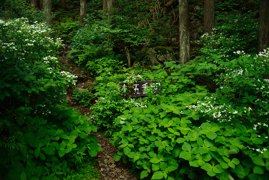 f:id:banriman:20140609152015j:image
