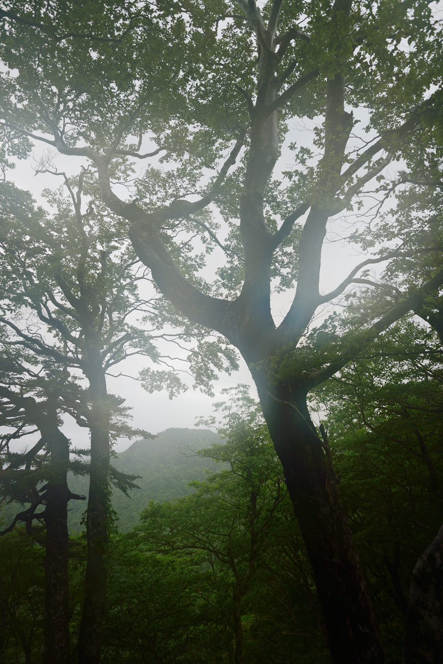 f:id:banriman:20140609152021j:image