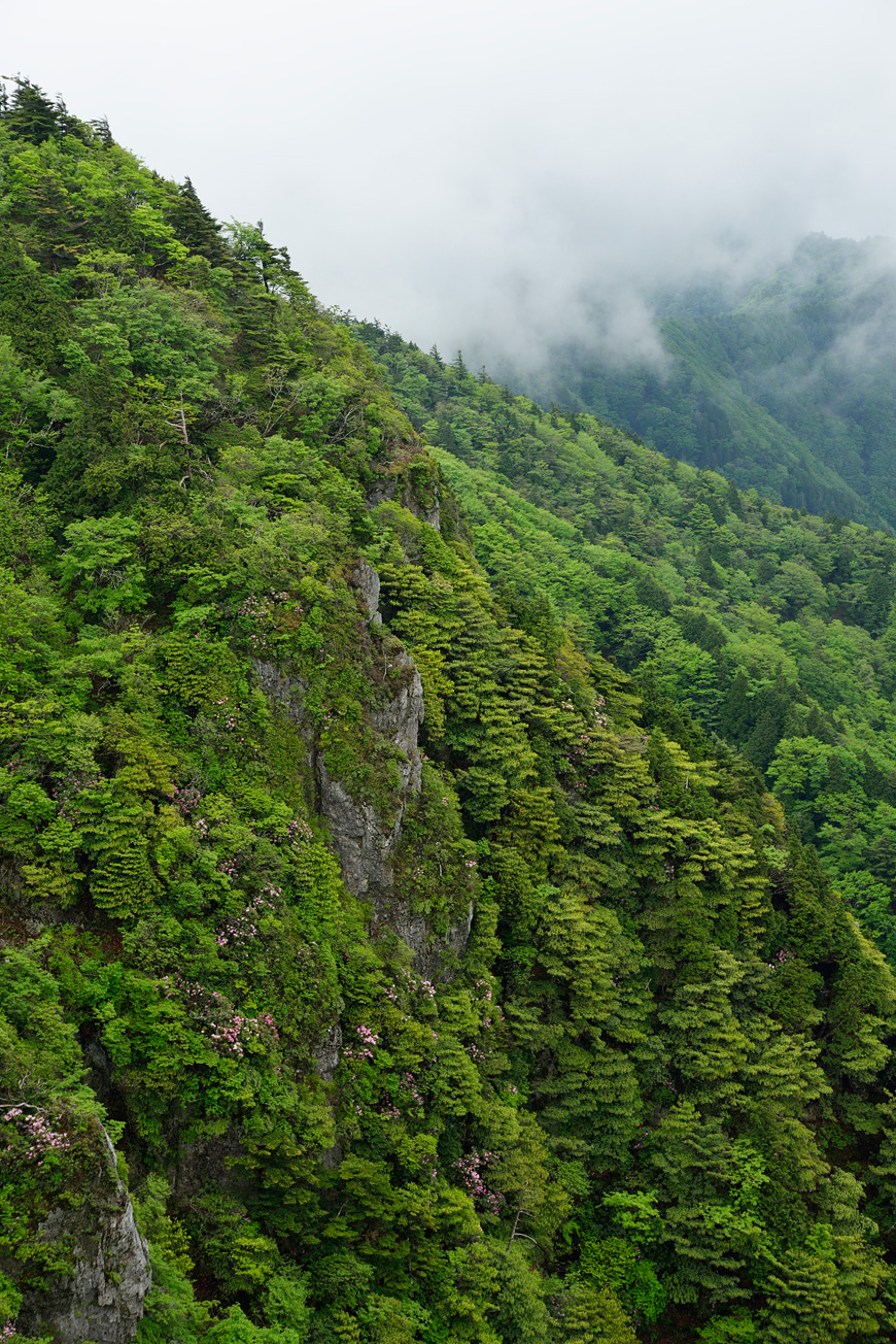 f:id:banriman:20140609152024j:image