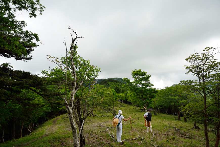 f:id:banriman:20140609152029j:image