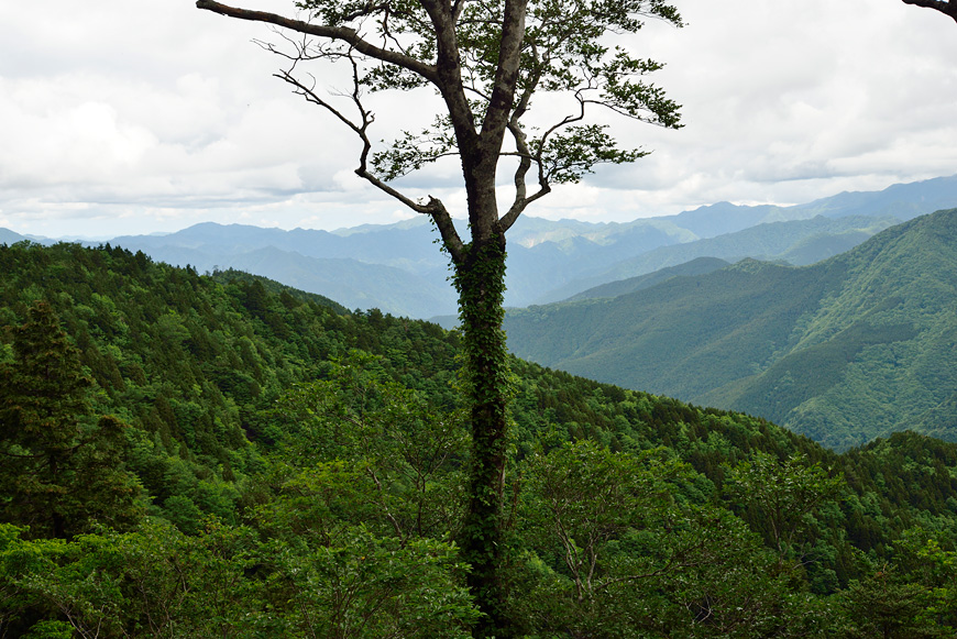 f:id:banriman:20140609152030j:image