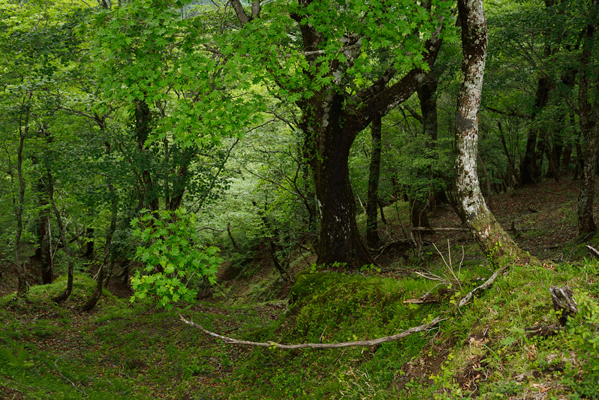 f:id:banriman:20140609152035j:image