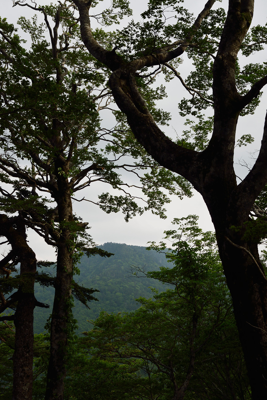 f:id:banriman:20140615185016j:image