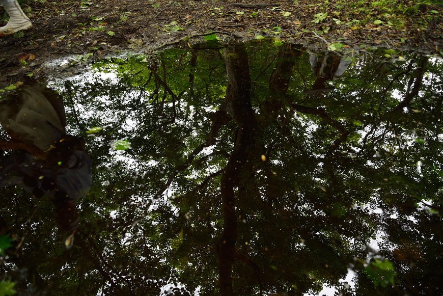 f:id:banriman:20140615185031j:image