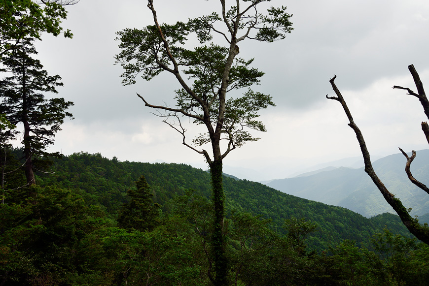 f:id:banriman:20140615185035j:image