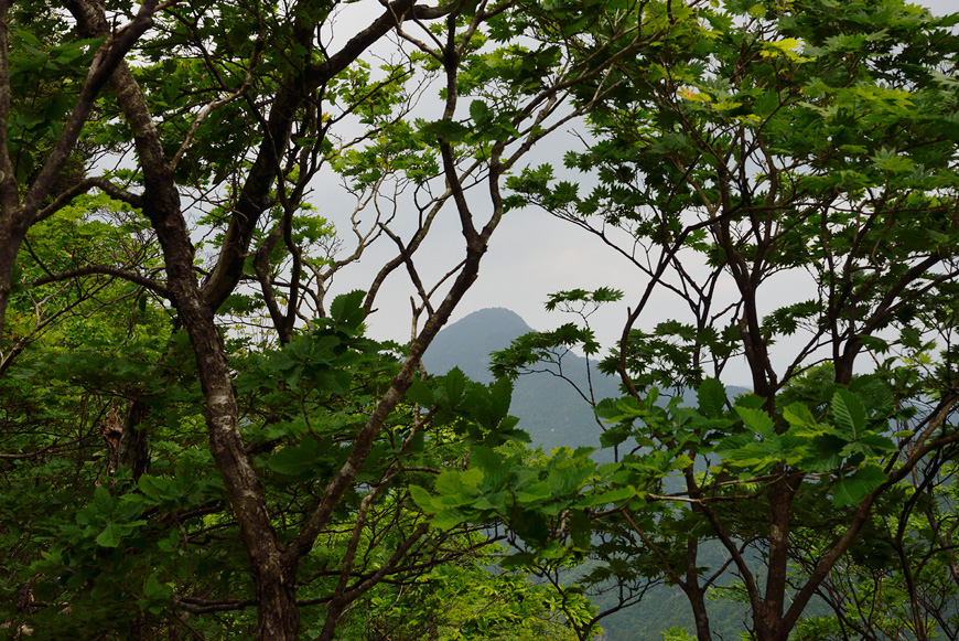 f:id:banriman:20140615185047j:image