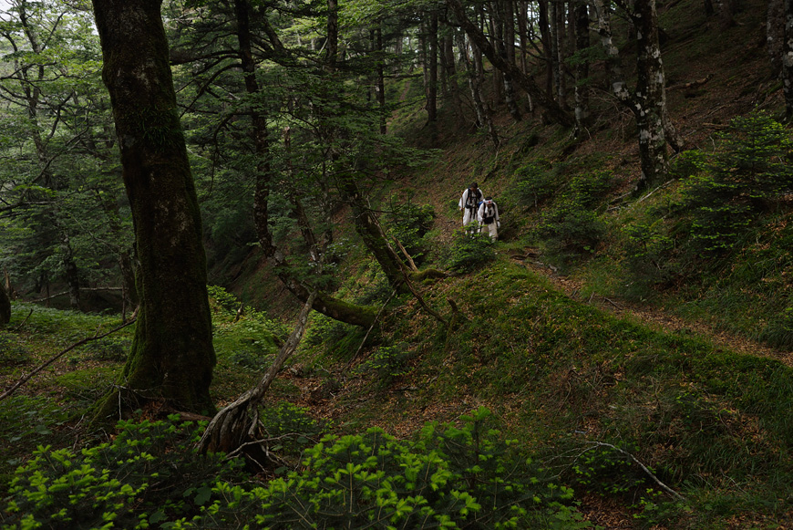 f:id:banriman:20140721210905j:image