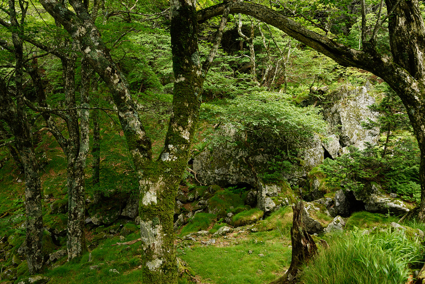 f:id:banriman:20140721210932j:image