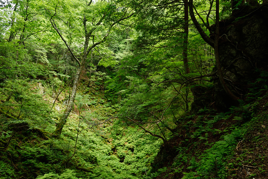 f:id:banriman:20140721210936j:image