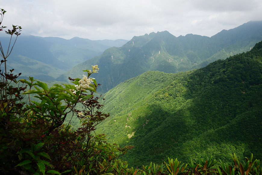 f:id:banriman:20140721210940j:image