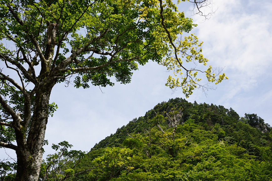 f:id:banriman:20140721210945j:image