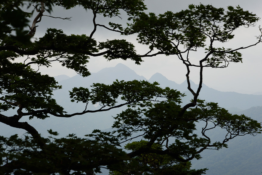 f:id:banriman:20140721210956j:image
