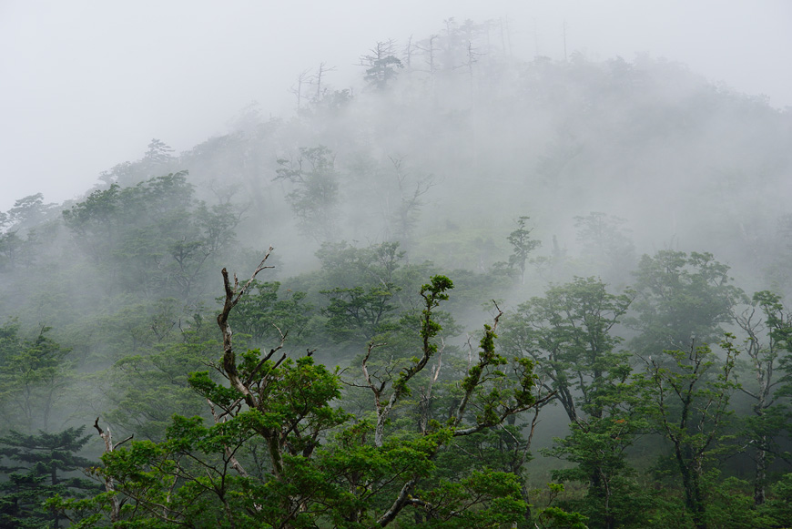 f:id:banriman:20140722140423j:image