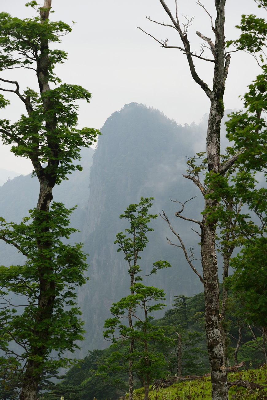 f:id:banriman:20140722140424j:image