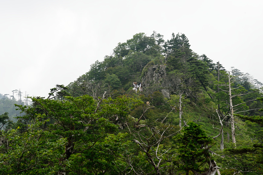 f:id:banriman:20140722140444j:image