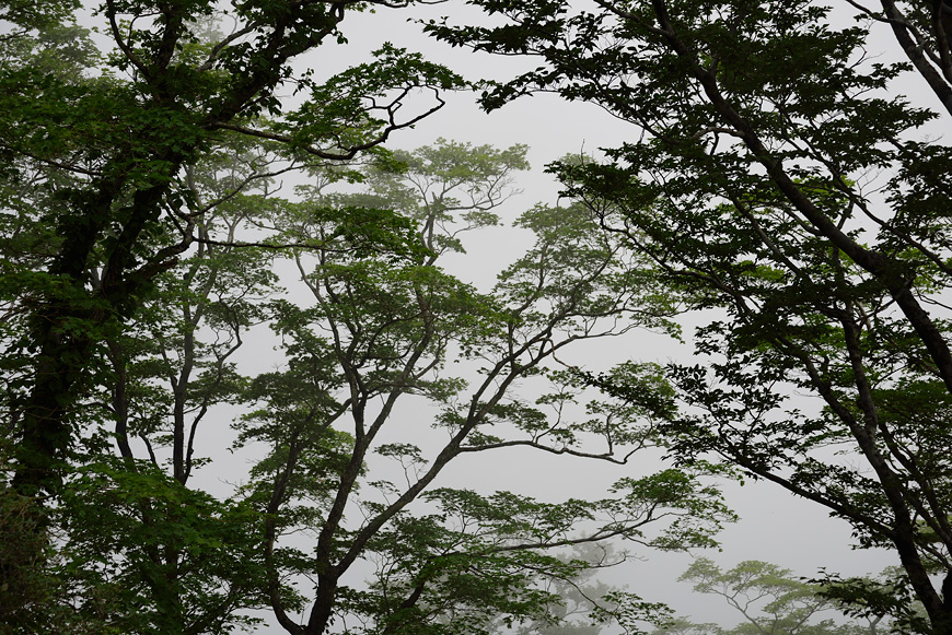 f:id:banriman:20140722140456j:image