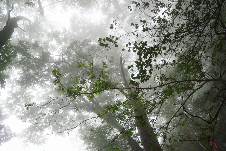 f:id:banriman:20140722140505j:image