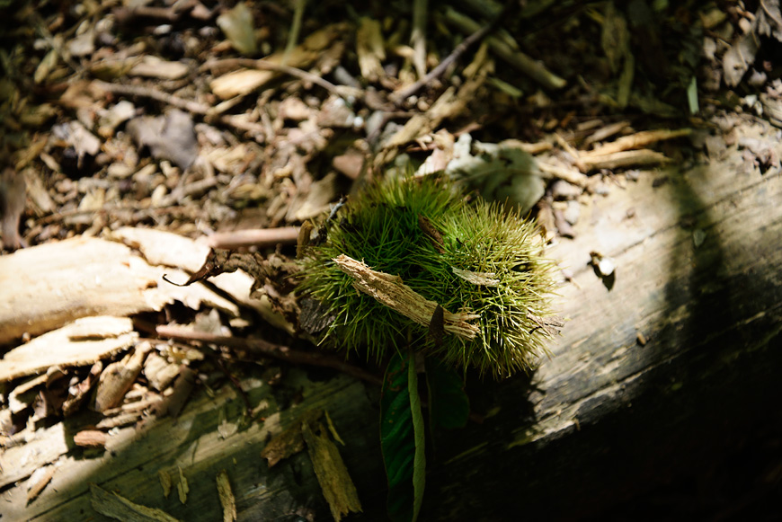 f:id:banriman:20140924143931j:image