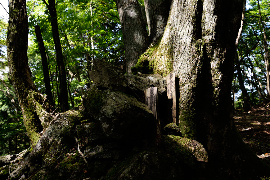 f:id:banriman:20140924143935j:image