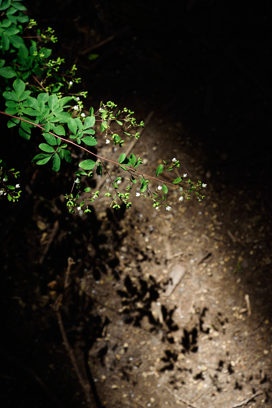 f:id:banriman:20140924143936j:image