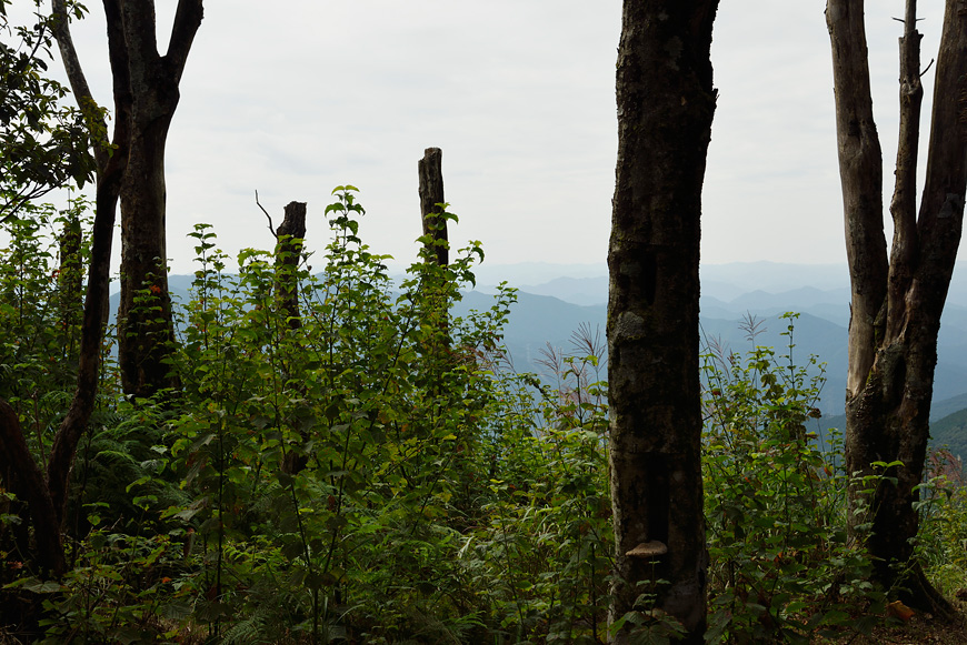 f:id:banriman:20140924143937j:image