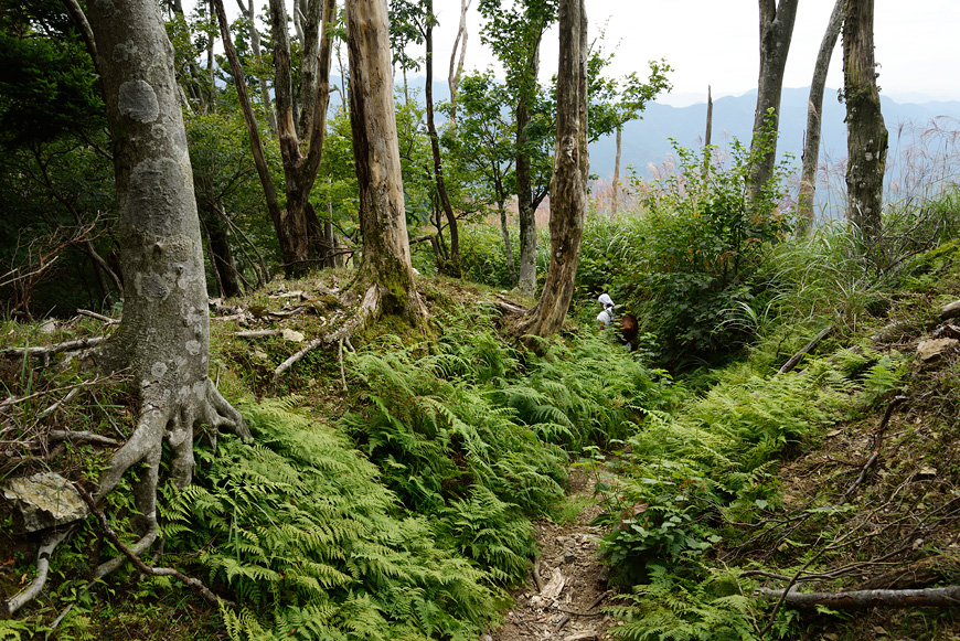 f:id:banriman:20140924143938j:image