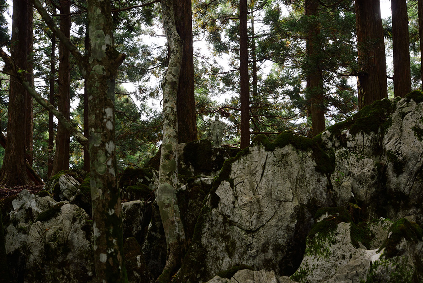 f:id:banriman:20140924143940j:image