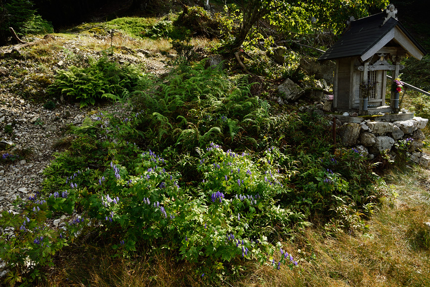 f:id:banriman:20140924143943j:image