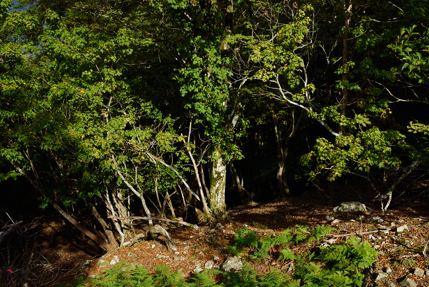 f:id:banriman:20140924143944j:image