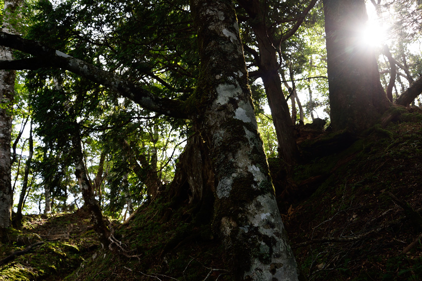 f:id:banriman:20140924143947j:image