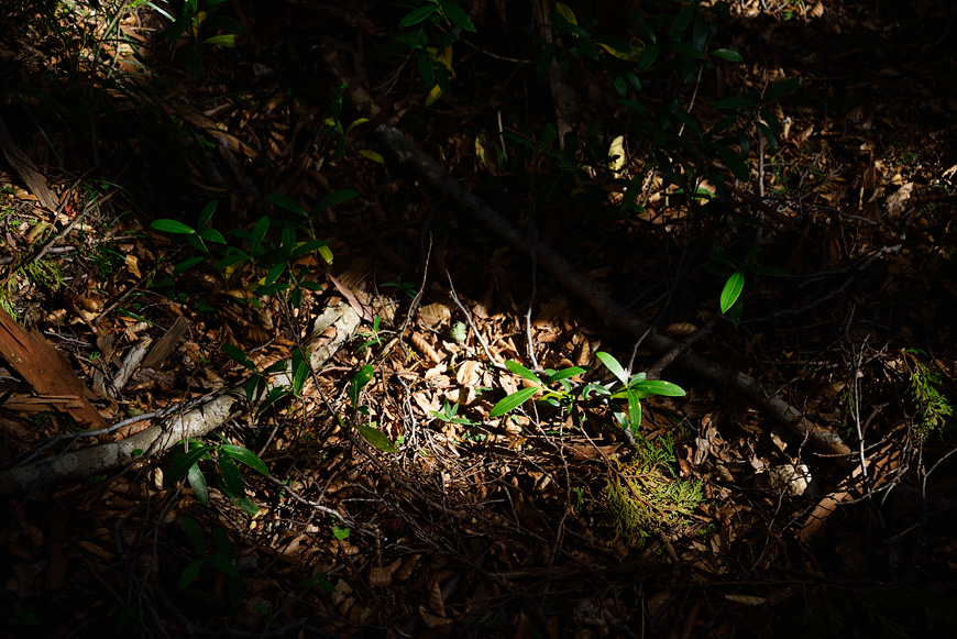 f:id:banriman:20140924143948j:image