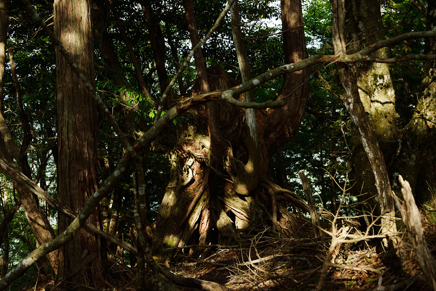 f:id:banriman:20140924143949j:image