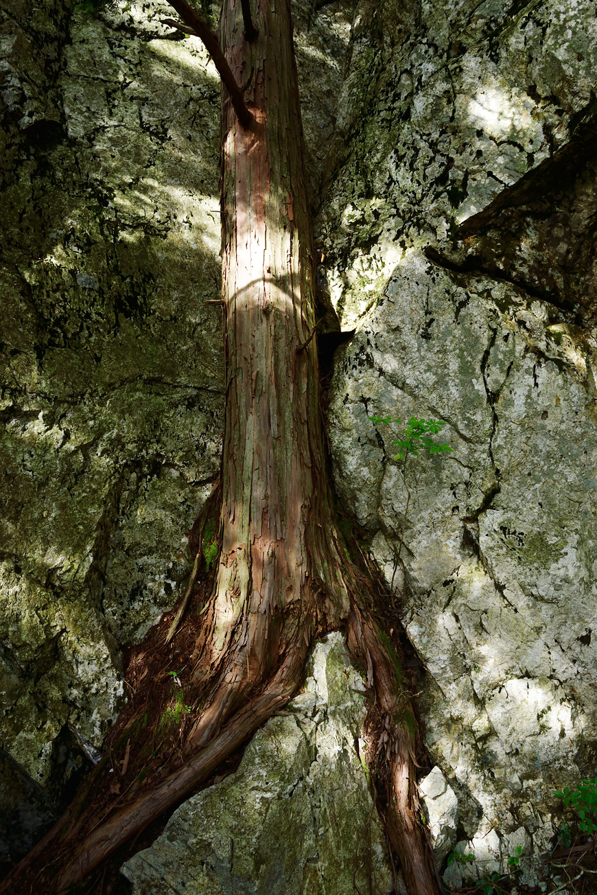 f:id:banriman:20140924143952j:image