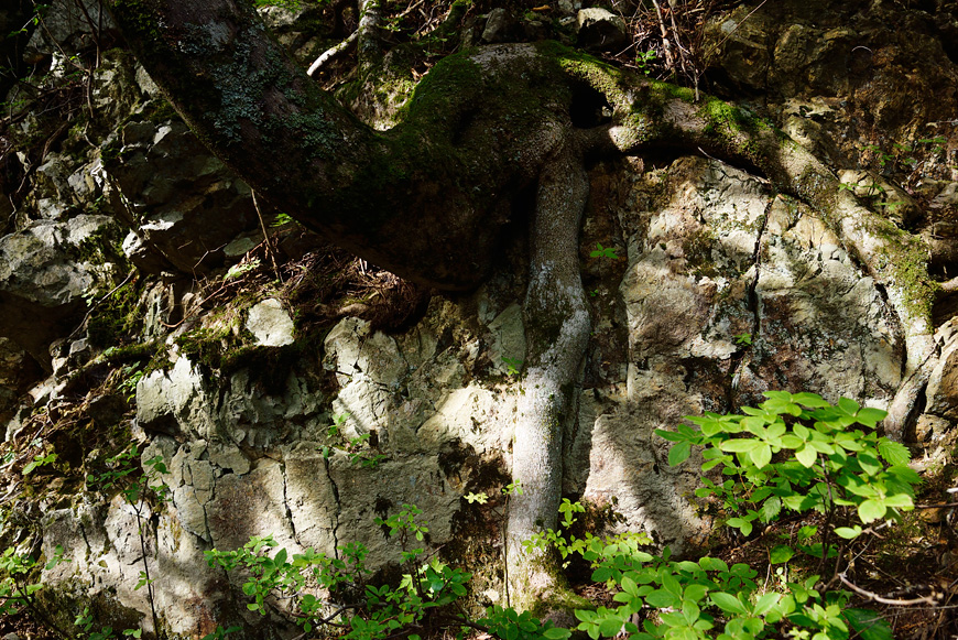f:id:banriman:20140924143953j:image