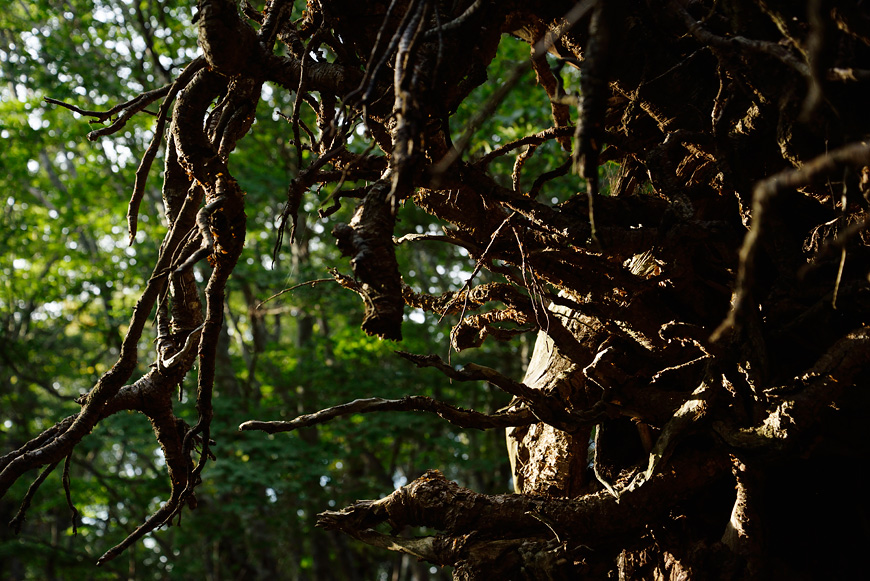 f:id:banriman:20140924143957j:image