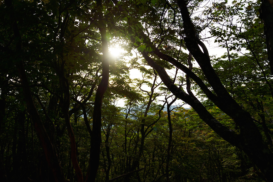f:id:banriman:20140924143959j:image