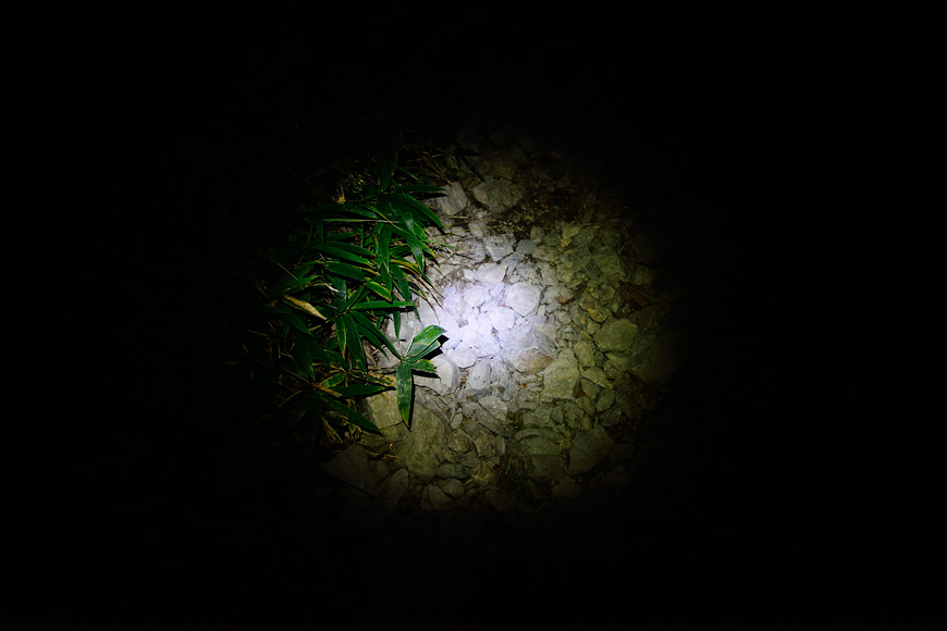 f:id:banriman:20140924144007j:image
