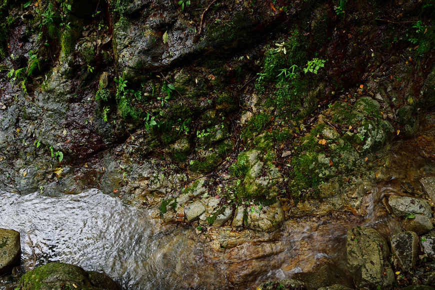 f:id:banriman:20141013232225j:image