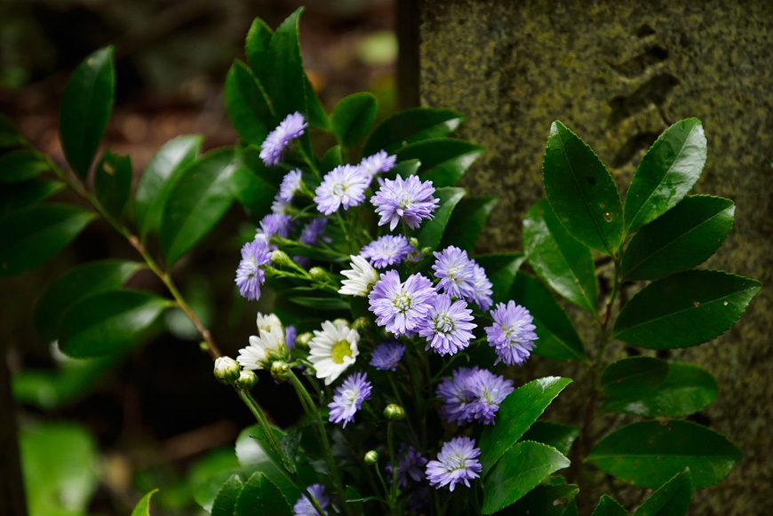 f:id:banriman:20141013232226j:image