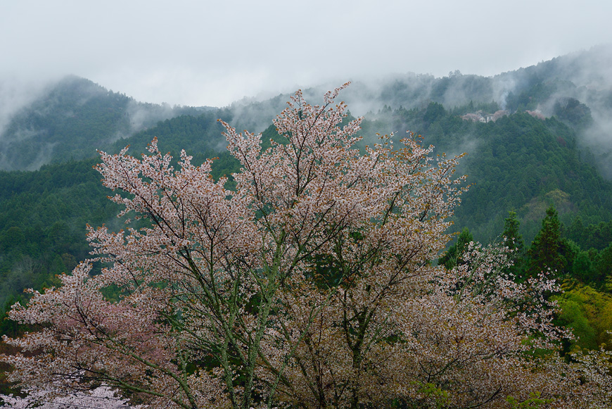 f:id:banriman:20150409182015j:image