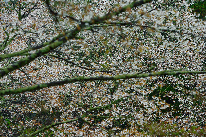 f:id:banriman:20150409182020j:image