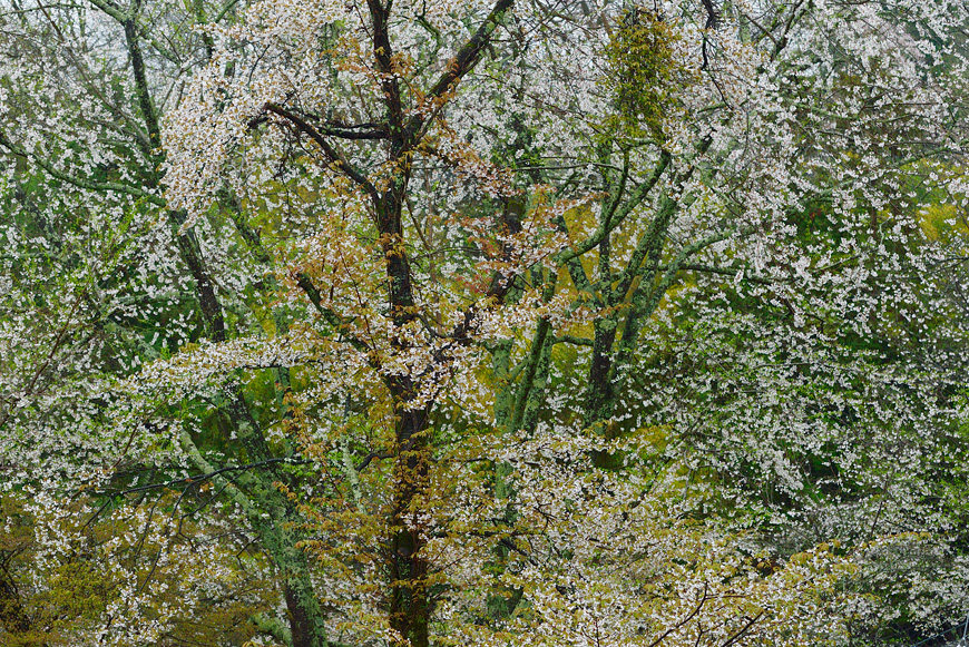 f:id:banriman:20150409182022j:image