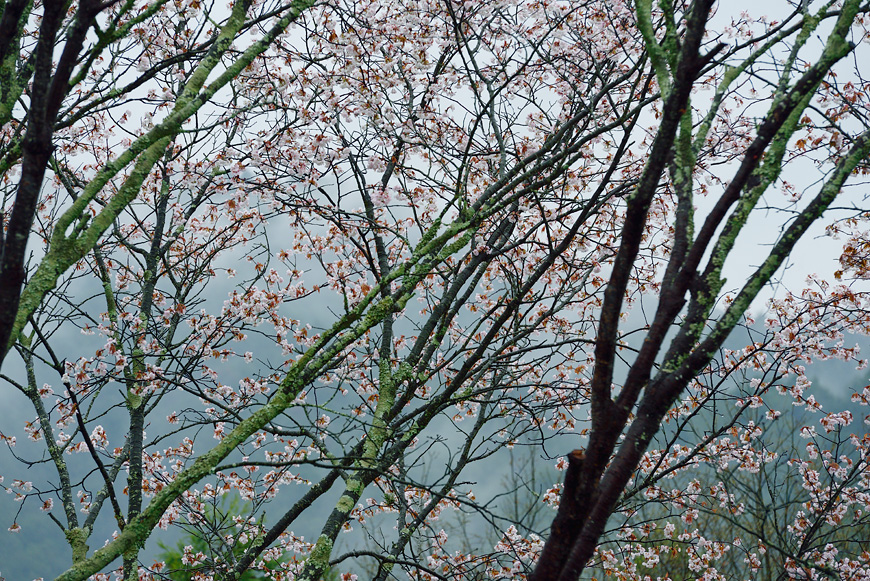 f:id:banriman:20150409182024j:image