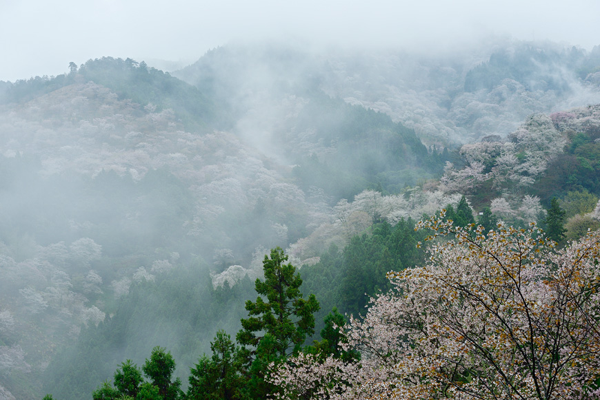 f:id:banriman:20150409182025j:image