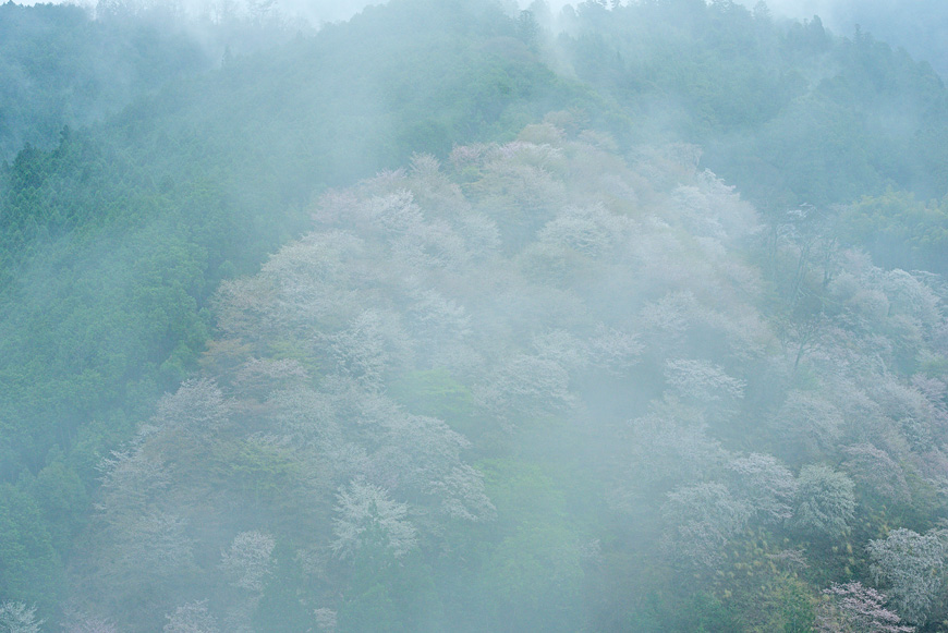 f:id:banriman:20150409182026j:image