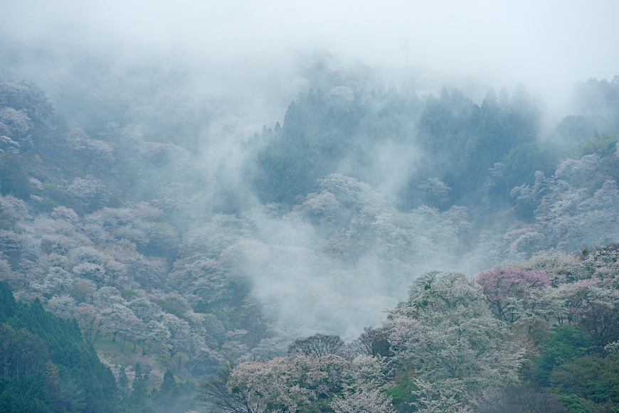 f:id:banriman:20150409182027j:image