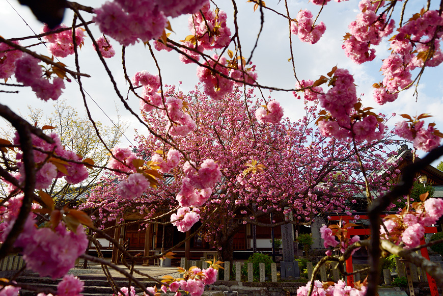 f:id:banriman:20150419112309j:image